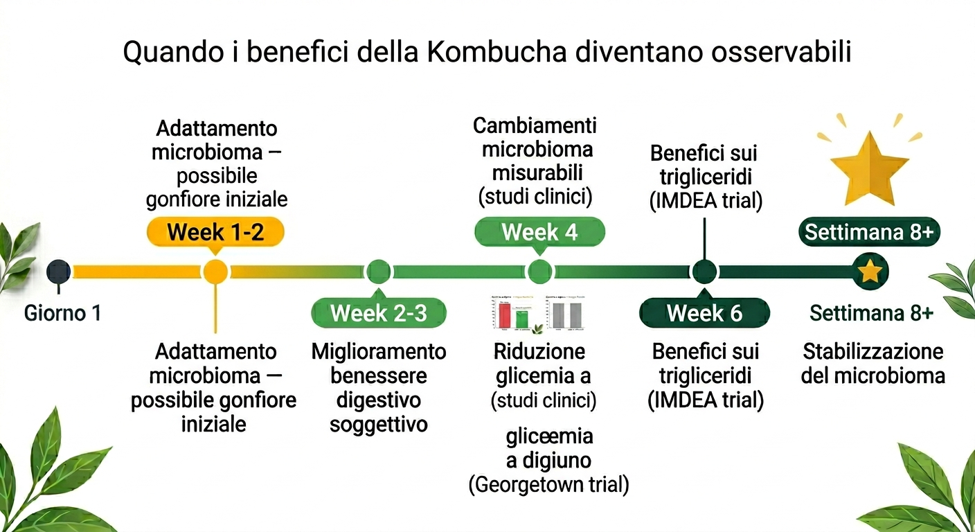 Illustrazione